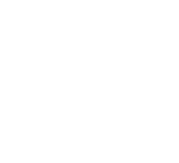 GraphDB / Graphwise Logo